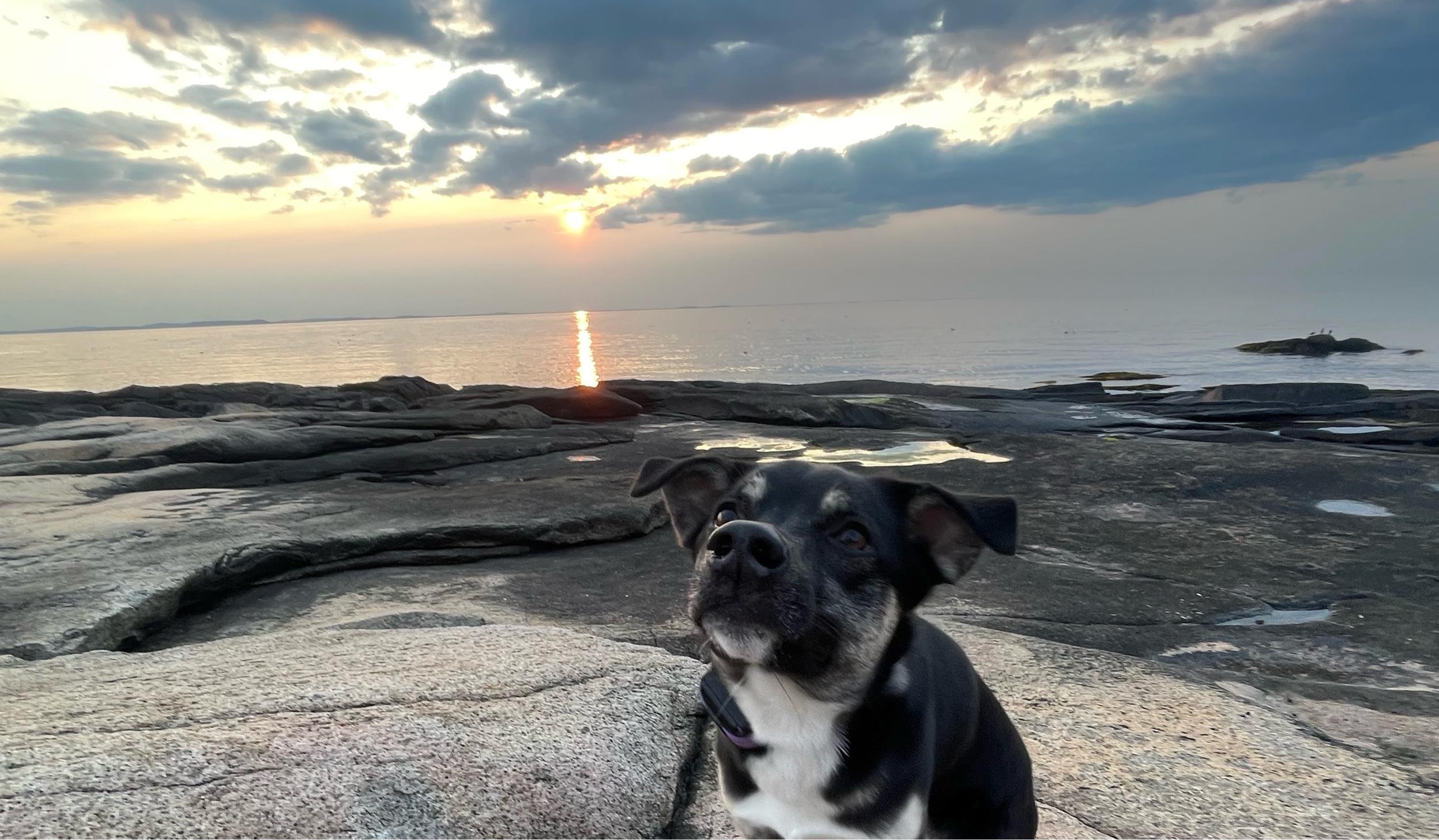 The Wedding Website of Courtney Aldrich Quilliam and William Andrew Newman