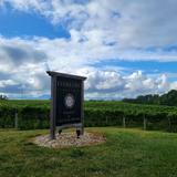 Dablon Vineyards & Winery