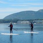 Acadia Stand Up Paddle Boarding