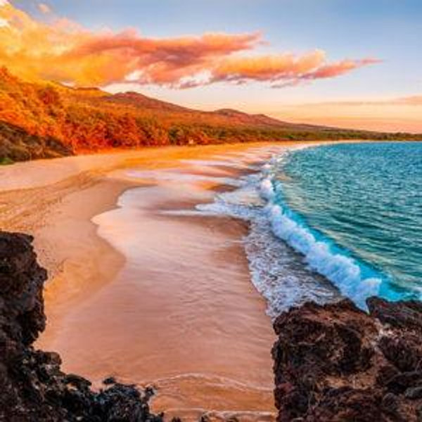 Honeymoon to Hawaii