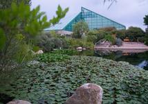 ABQ BioPark - Botanic Garden