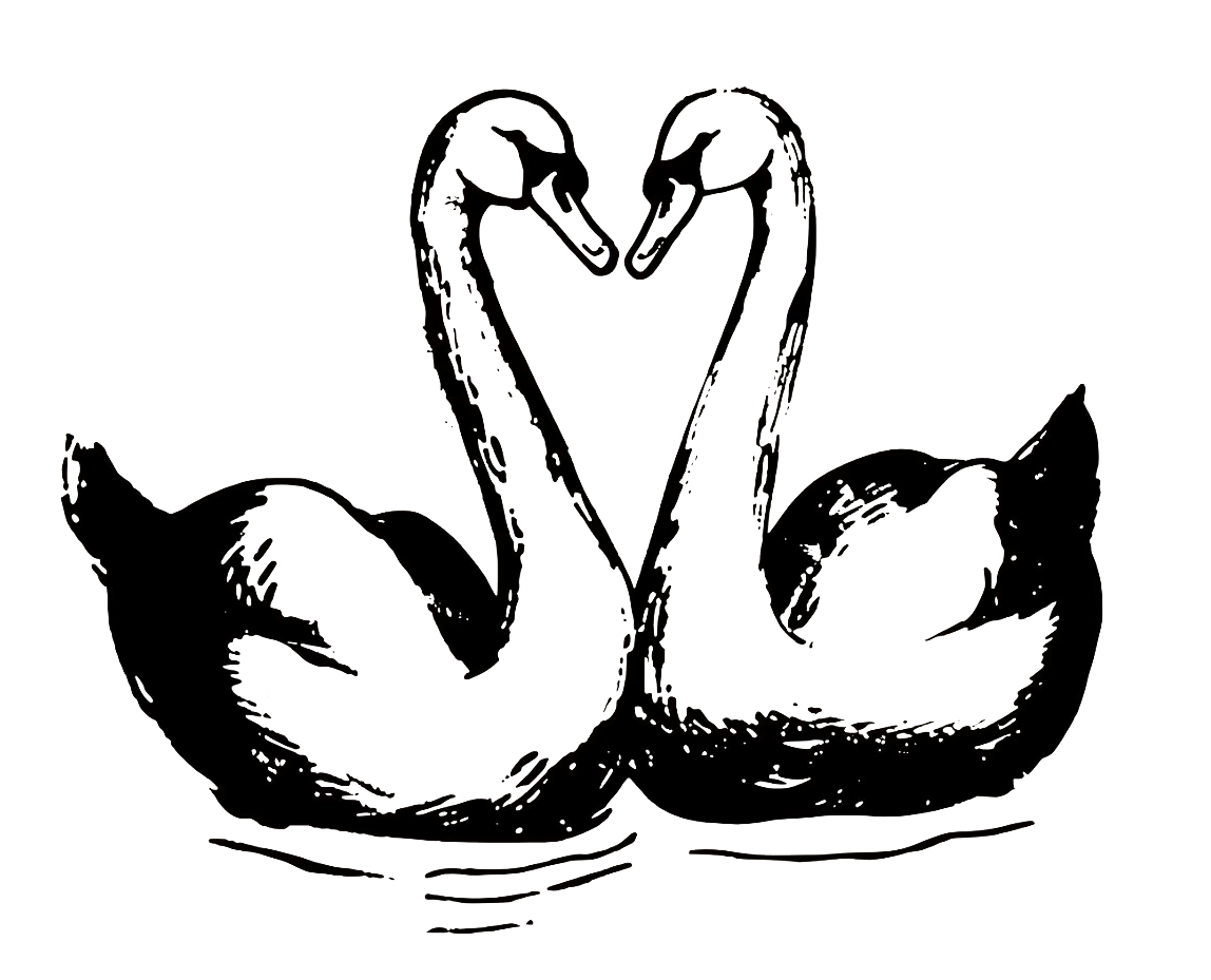 The Wedding Website of Alyssa Blonski and CJ Carter