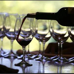 A guided wine tasting in Burgundy