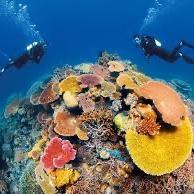 Scuba Certifications for Honeymoon
