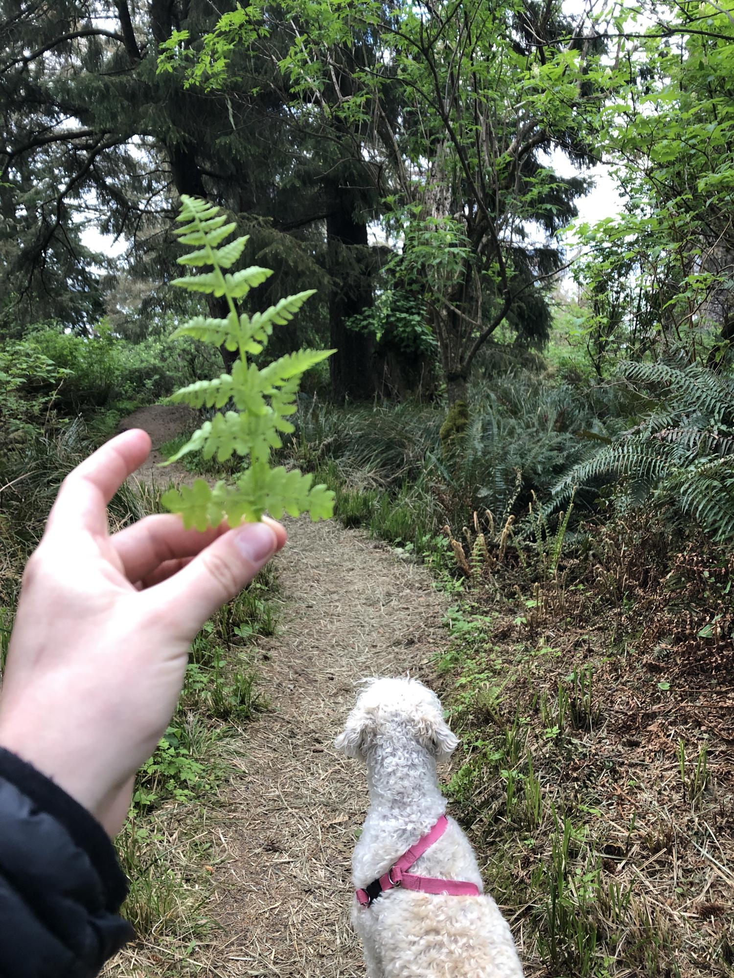 What happens behind the fern stays behind the fern. Lets just say that beef jerky stick did not like sean..... and as the defacto photographer of course I had to take a picture.