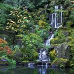 Portland Japanese Garden