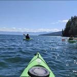 Sea Me Paddle Kayaking & SUP Tours & Rentals