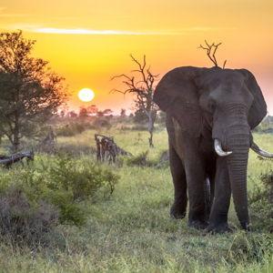 South Africa Honeymoon Fund