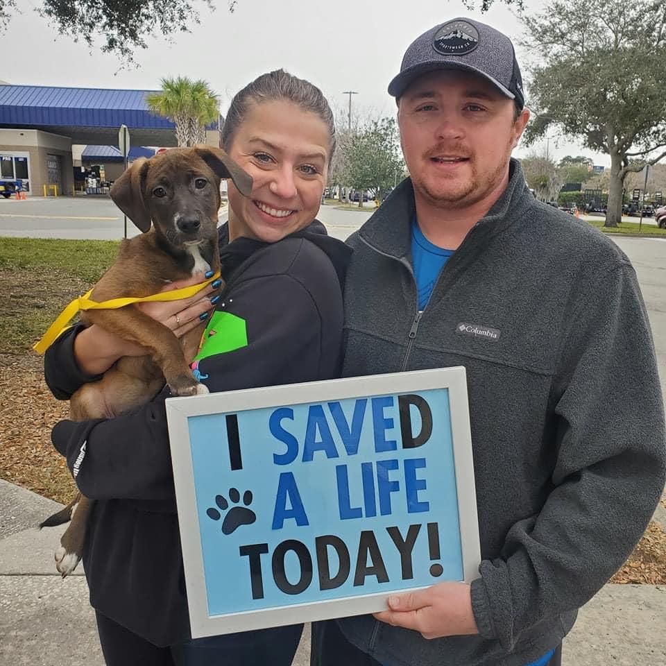 When we adopted our puppy Indy in January 2024