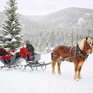 Romantic Sleigh Ride