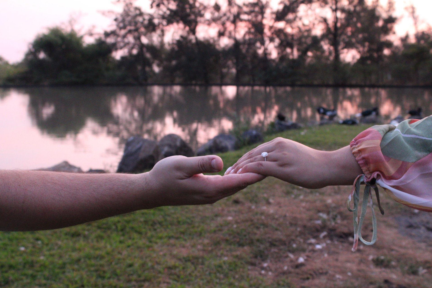 The Wedding Website of Hannia G. and Robert Q.