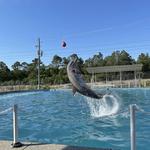 Ocean Adventures Marine Park