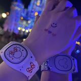 Disney Parks