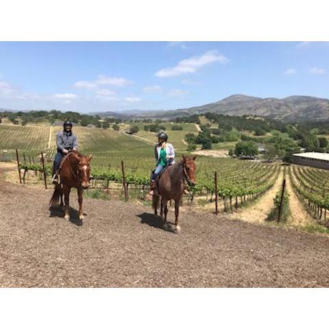 Did you know you can ride horses in Napa?!!