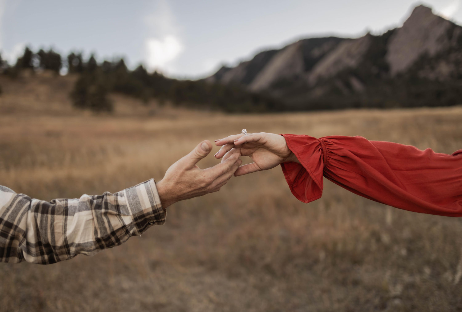 The Wedding Website of Krystle Weitzel and Ryan Nelson