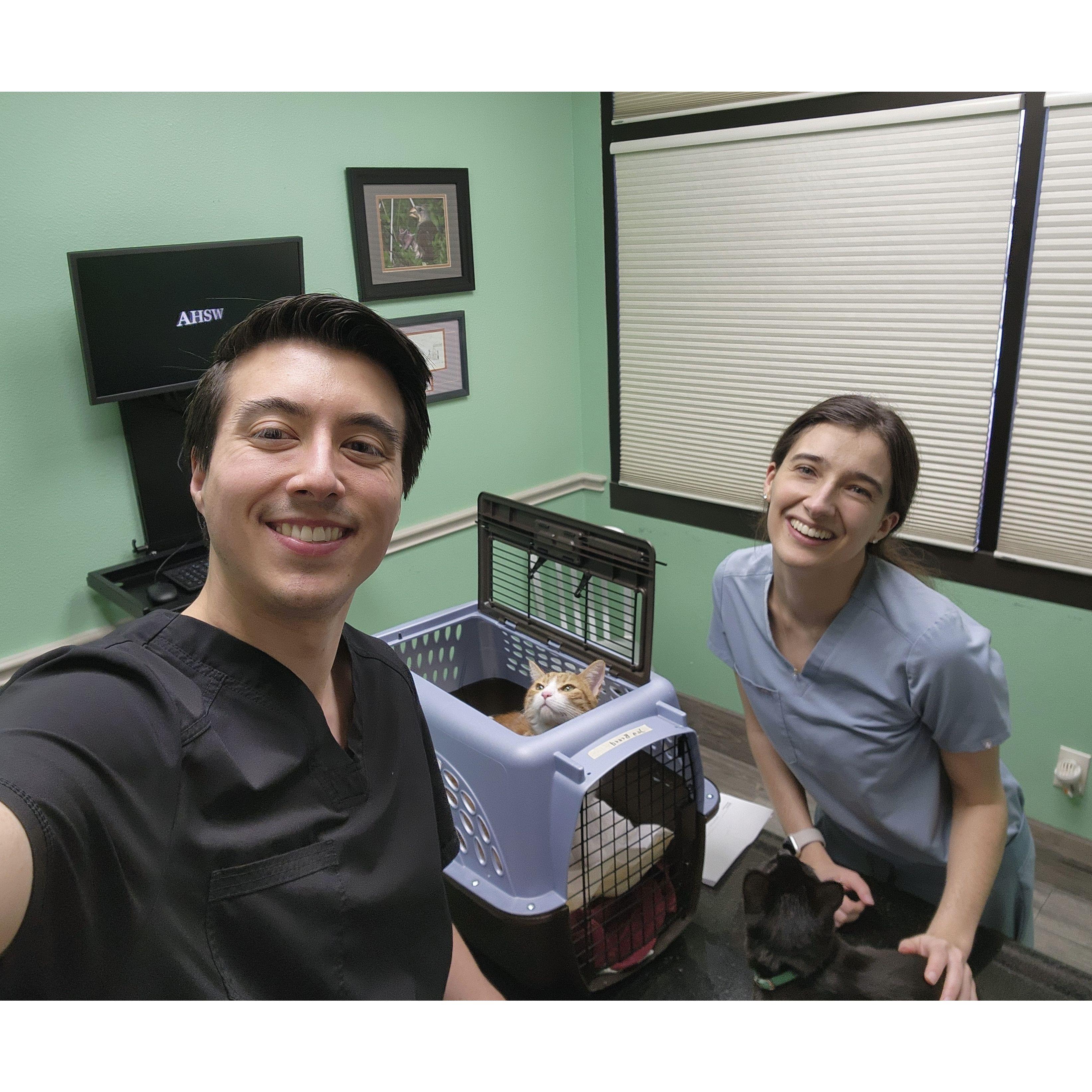 Our first trip to the vet with both our fufbabies, Jag and Catalina!