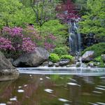 Anderson Japanese Gardens