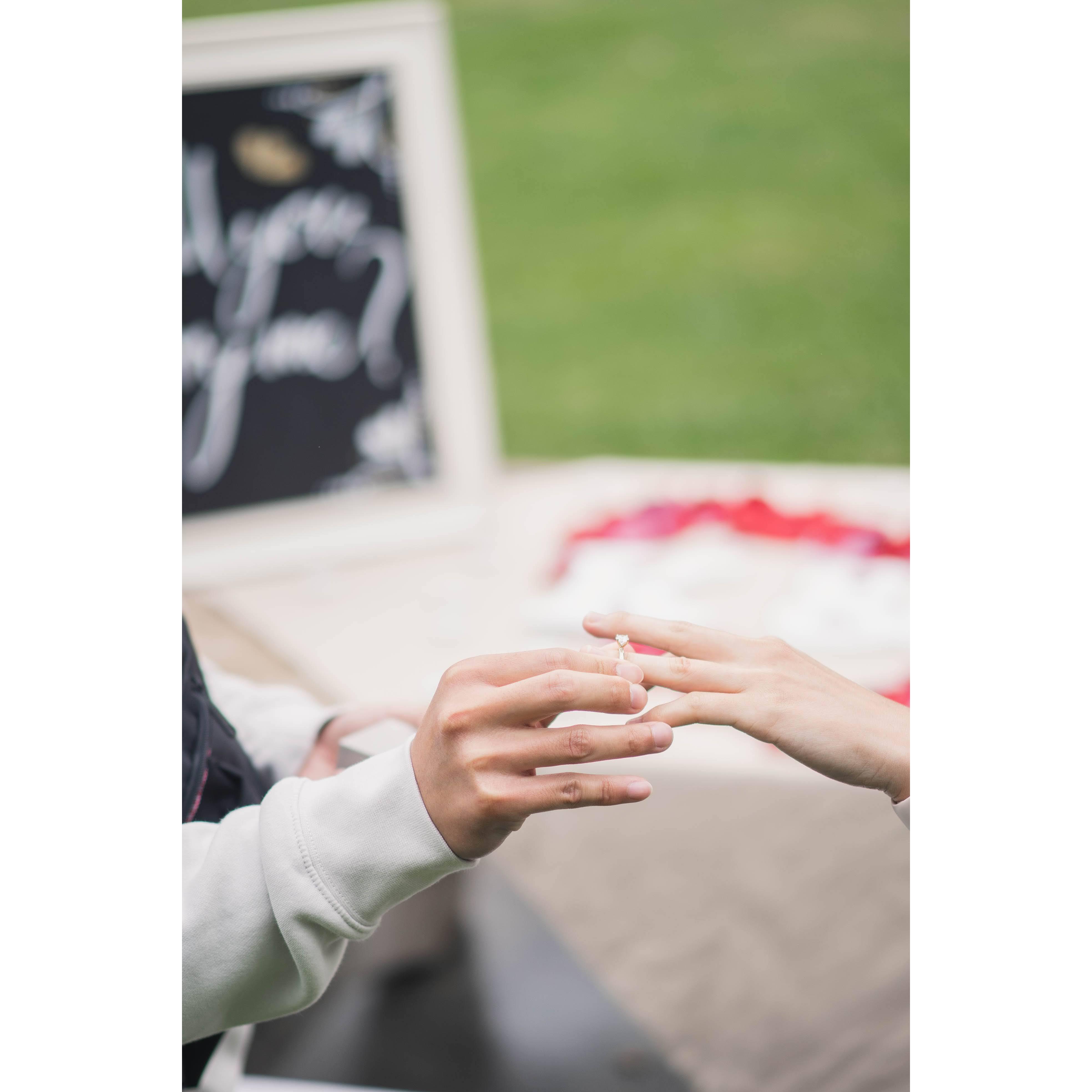 Thank you to Nancy for helping with that beautiful rose petal heart in the background!