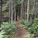 Presque Isle Park