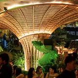 Amazónico Miami