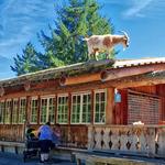 Old Country Market - Goats on Roof