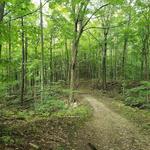 The Alps (Dryden Tract)