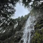 Teneriffe Falls Trail