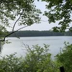 Attraction: Walden Pond