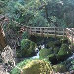 Cataract Falls