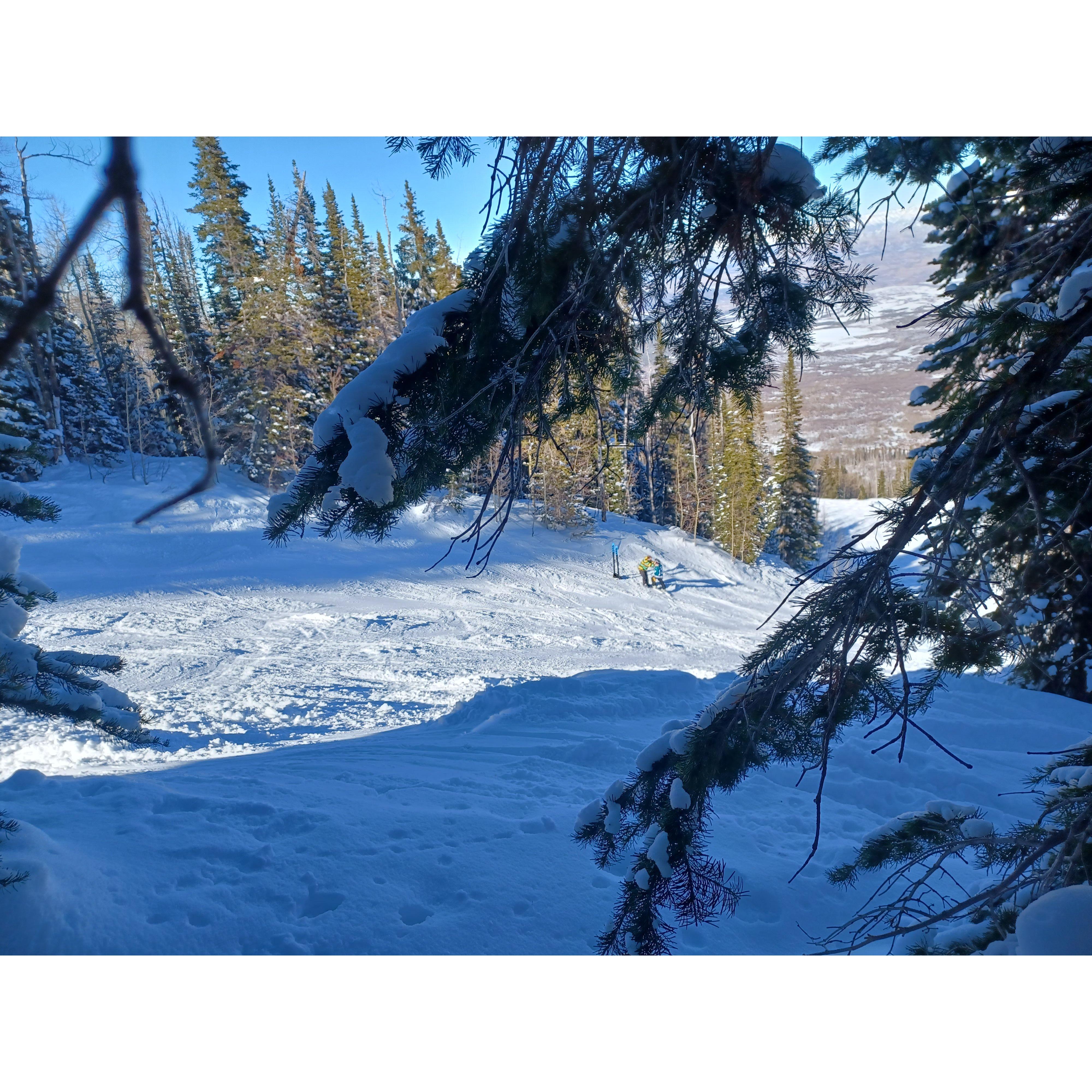 A ski patroller catching Evan's proposal from the woods.