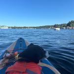 Resident Attractions