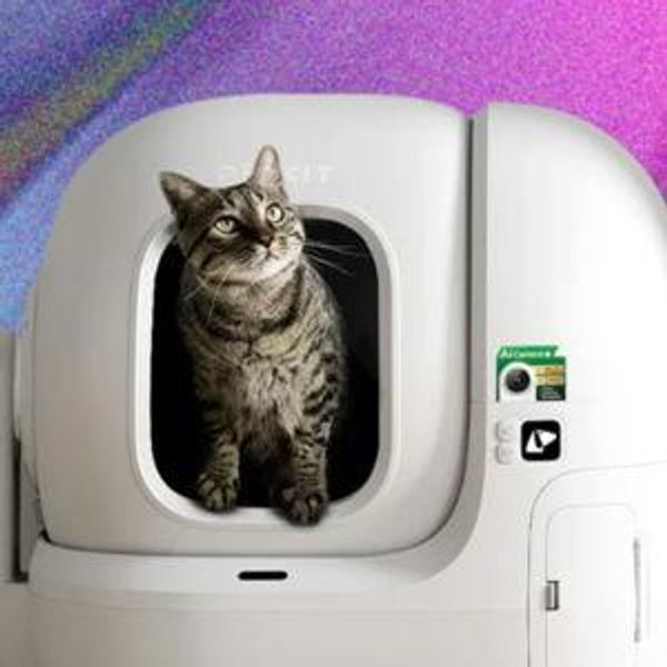 Shrimp and Bean's New Litter Box