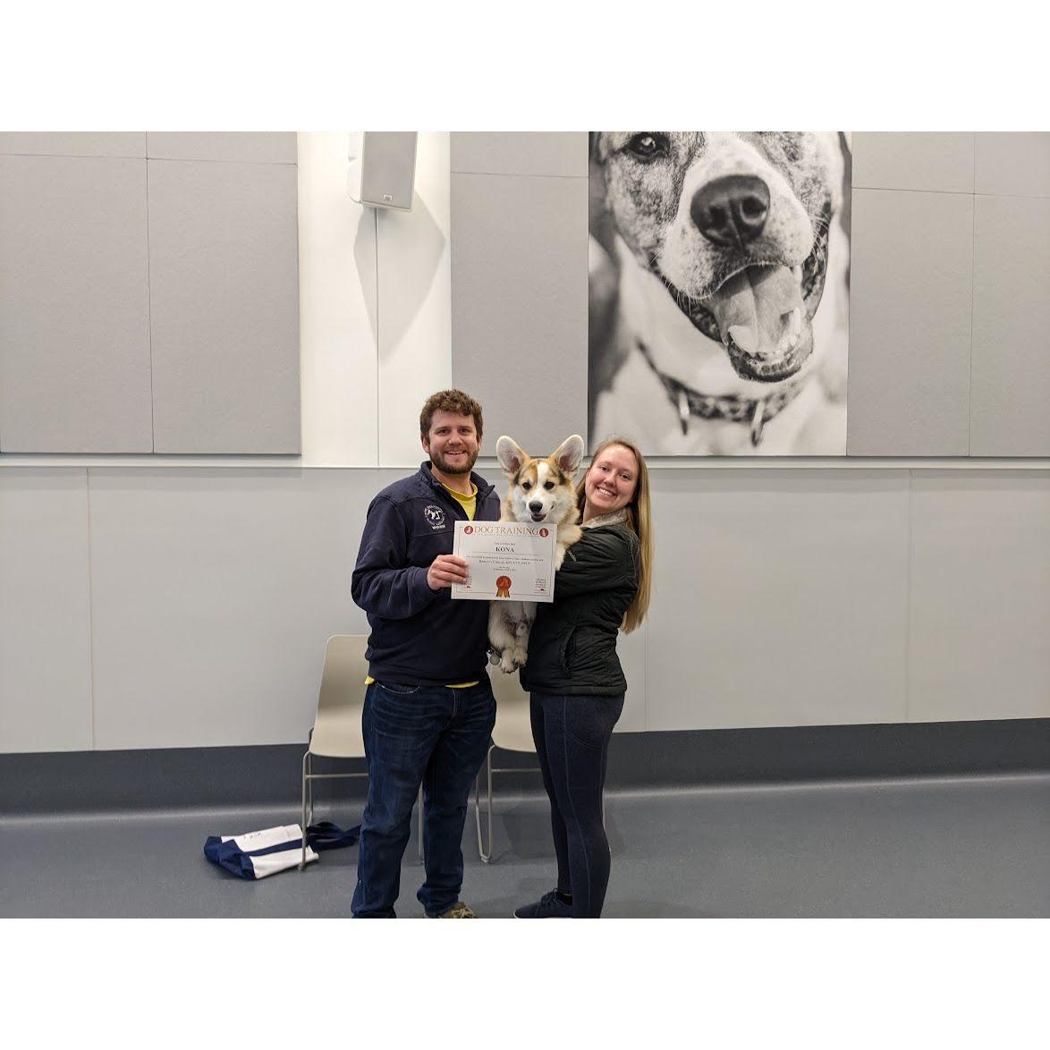 Kona's Obedience Class Graduation