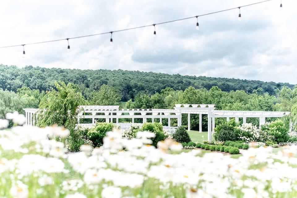 The Wedding Website of Alexis Ferraro and Alex Ferraro