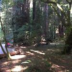 Muir Woods National Monument