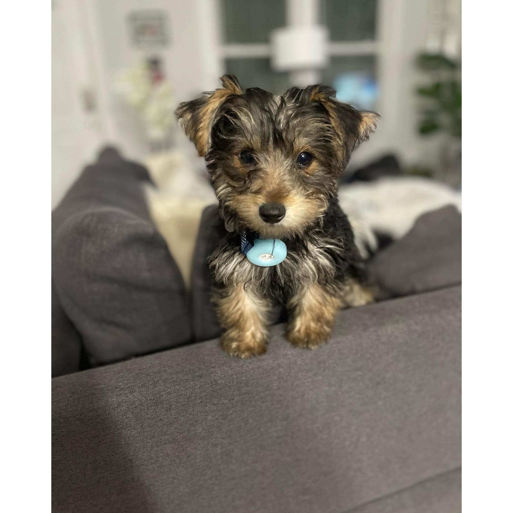 Marina got an annoying little brother