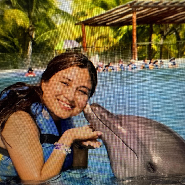 Honeymoon Adventure ~ Swim with Dolphins