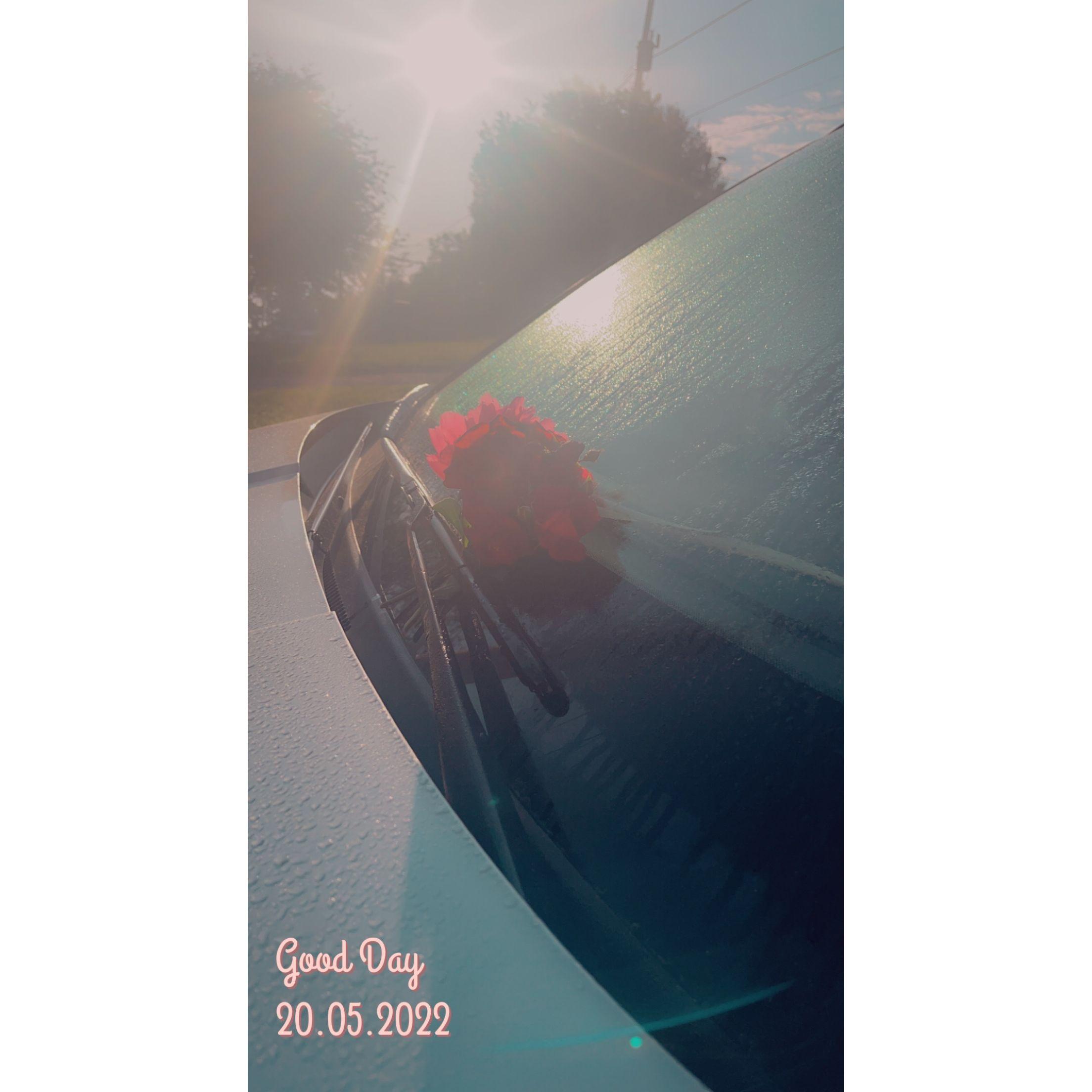 bobby used to walk to brenna's PA school campus while I was in class and leave flowers on her car