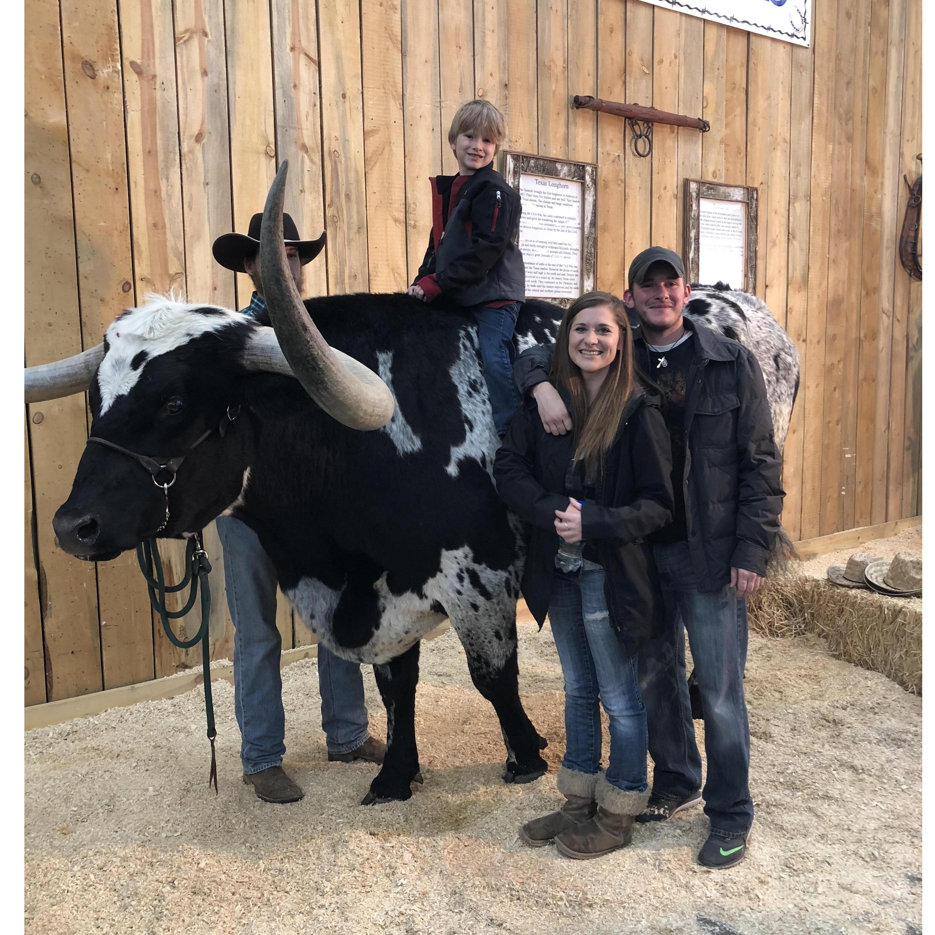 Stock Show - January 2018