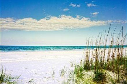 The Wedding Website of Heather Baldwin and Eric Hendley