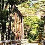Ashuelot trail