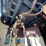 Kenosha Public Museum