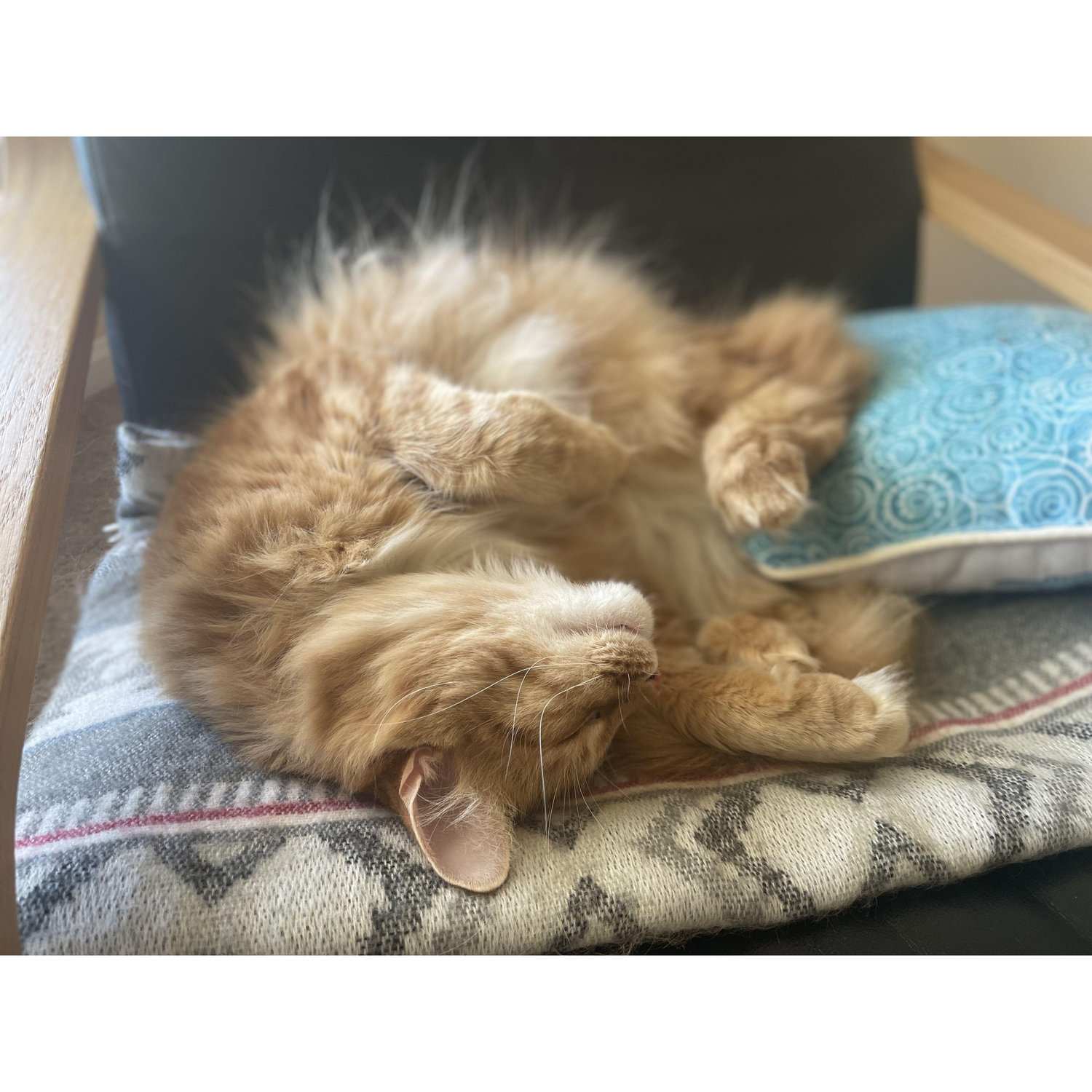 Caramel