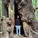 Muir Woods National Monument