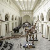 Field Museum