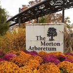 The Morton Arboretum