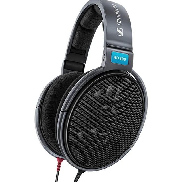 Sennheiser HD 600 Open Dynamic Hi-Fi Professional Stereo Headphones (Black)