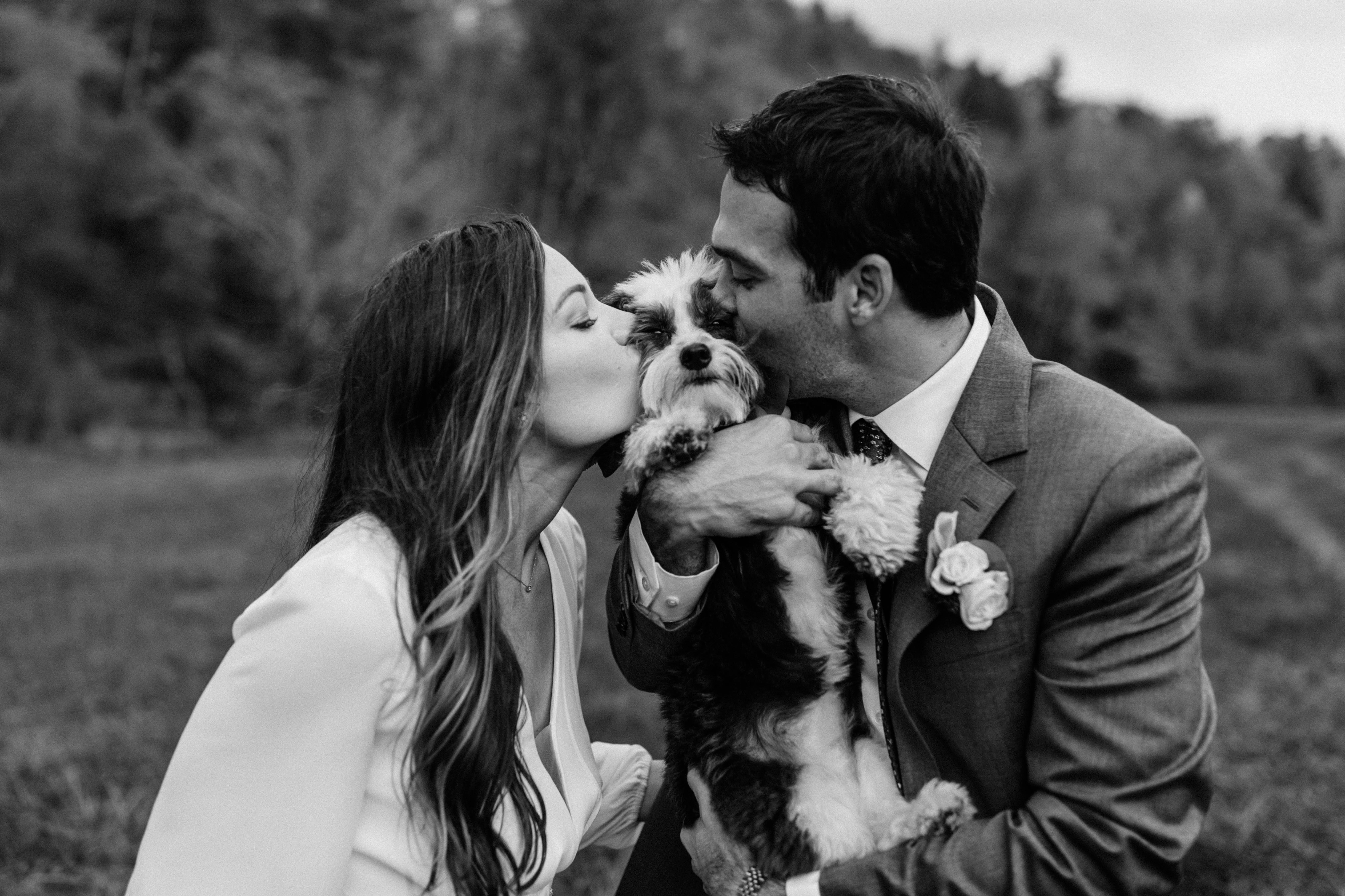 The Wedding Website of Emily Gamble and John Newcombe
