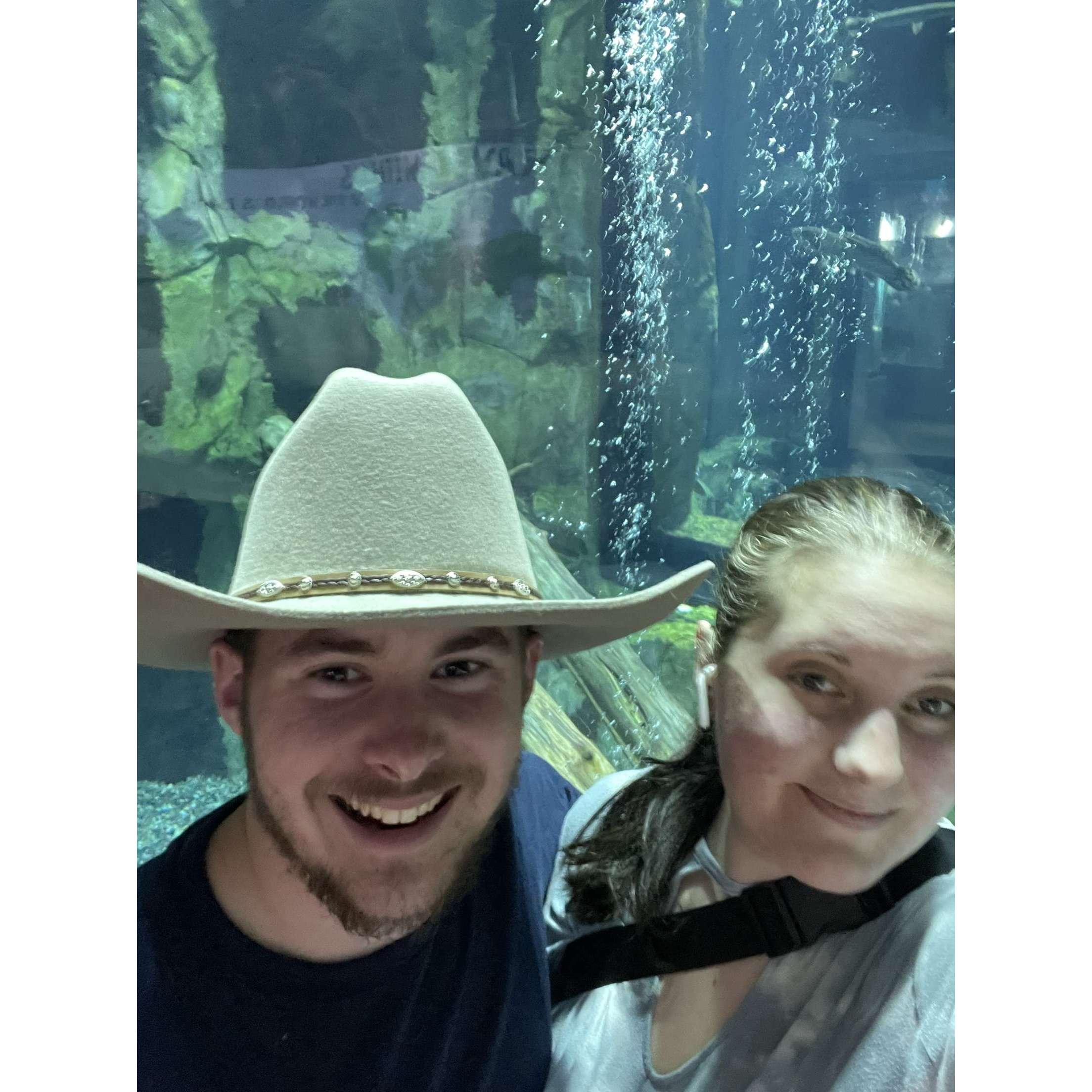 Great Lakes Aquarium in Duluth