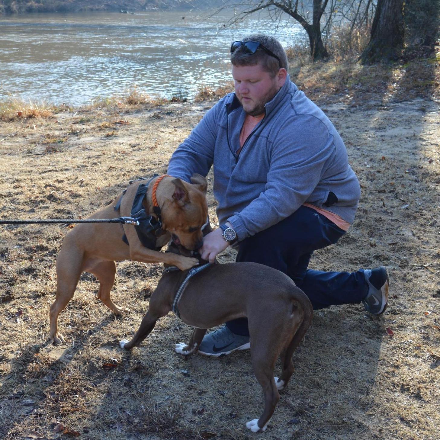 Travis trying to propose, but the dogs kept getting in the way!